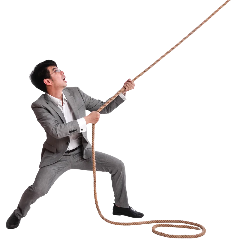 Illustration creation de site internet multilingue